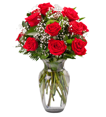 Aşkın Kırmızı Gücü - 12 Adet Vazoda Kırmızı Gül (Floksia Flowers)